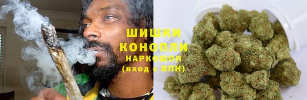 СК Бронницы