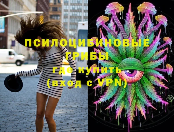 Альфа ПВП Бородино
