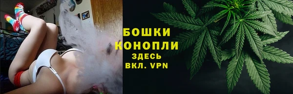 СК Бронницы