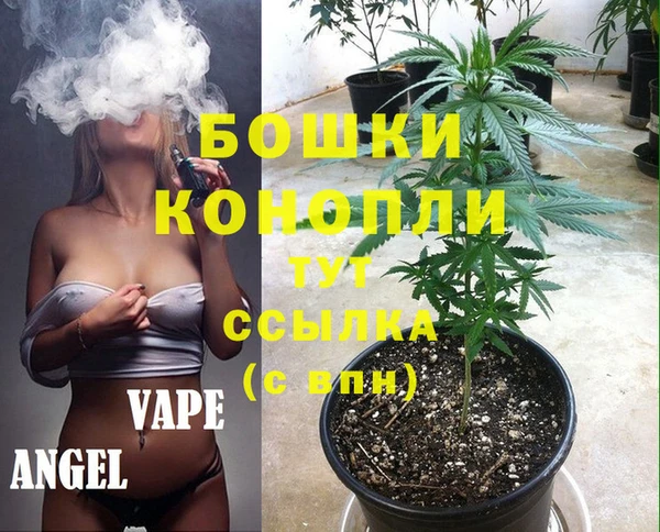Альфа ПВП Бородино