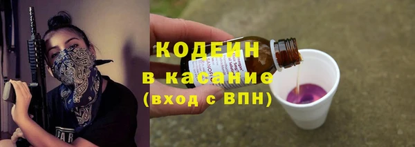 Альфа ПВП Бородино