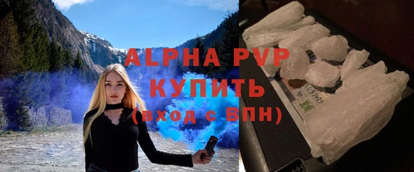 СК Бронницы