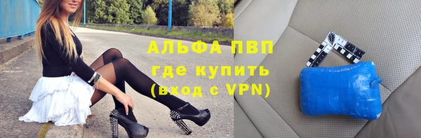 СК Бронницы