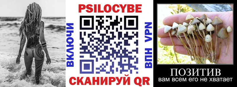 Галлюциногенные грибы MAGIC MUSHROOMS  где найти наркотики  Берёзовка 